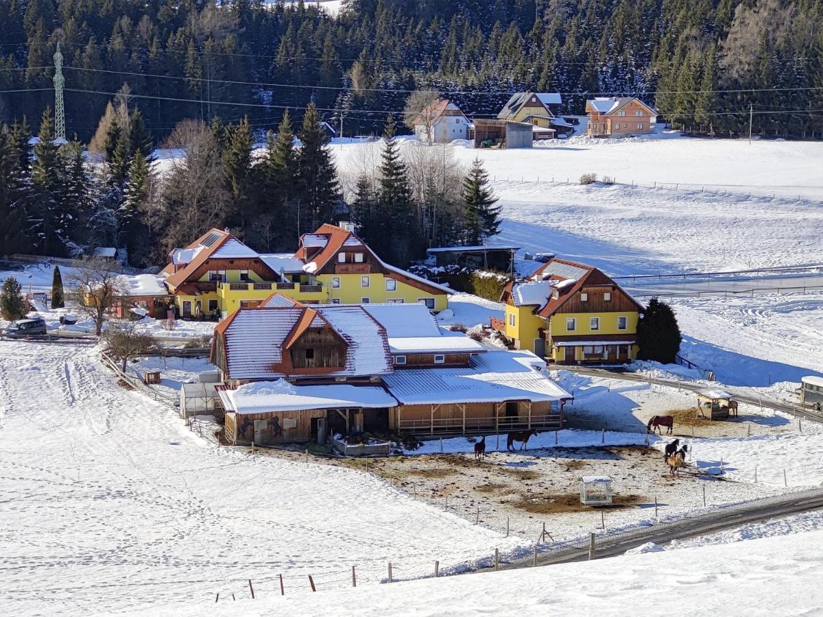 Hotel Gasthof Seeblick Zeutschach Экстерьер фото